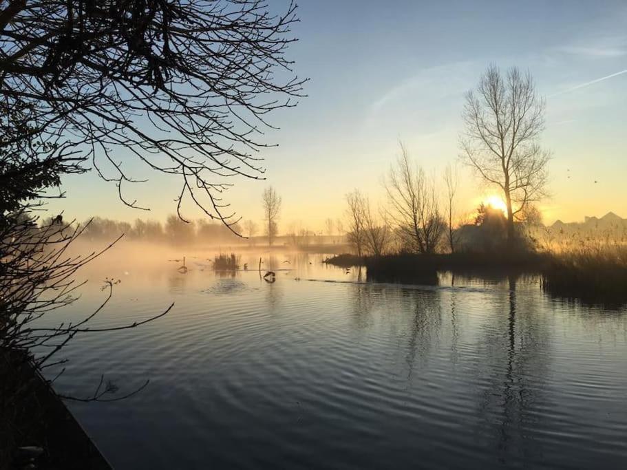 Villa Gezellige Pipo Met Grote Schommel Aan Het Water à Medemblik Extérieur photo